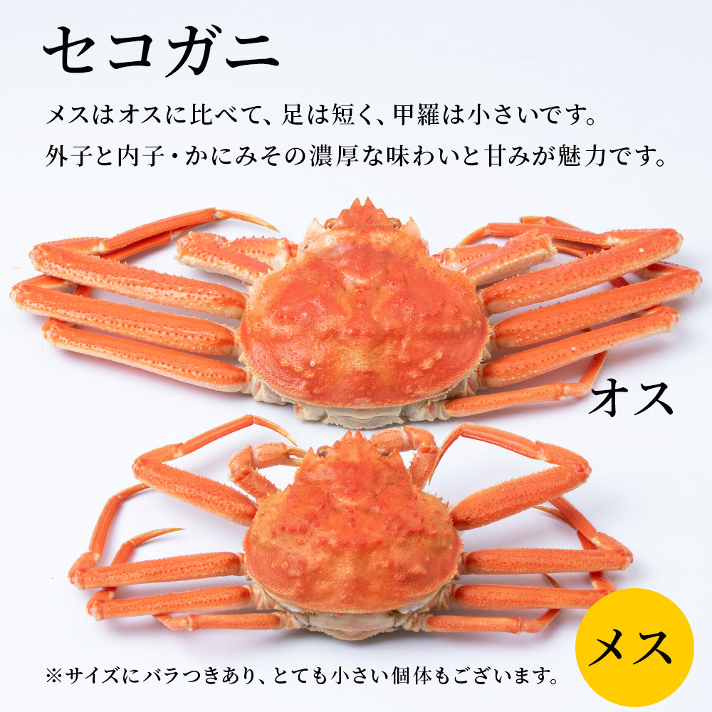 訳あり オオズワイガニメス (約100-200g前後) セコガニ 浜ゆで 2kg (10～20尾入) セイコガニ ボイル 北海道 - 北海道白老町｜ふるさとチョイス  - ふるさと納税サイト