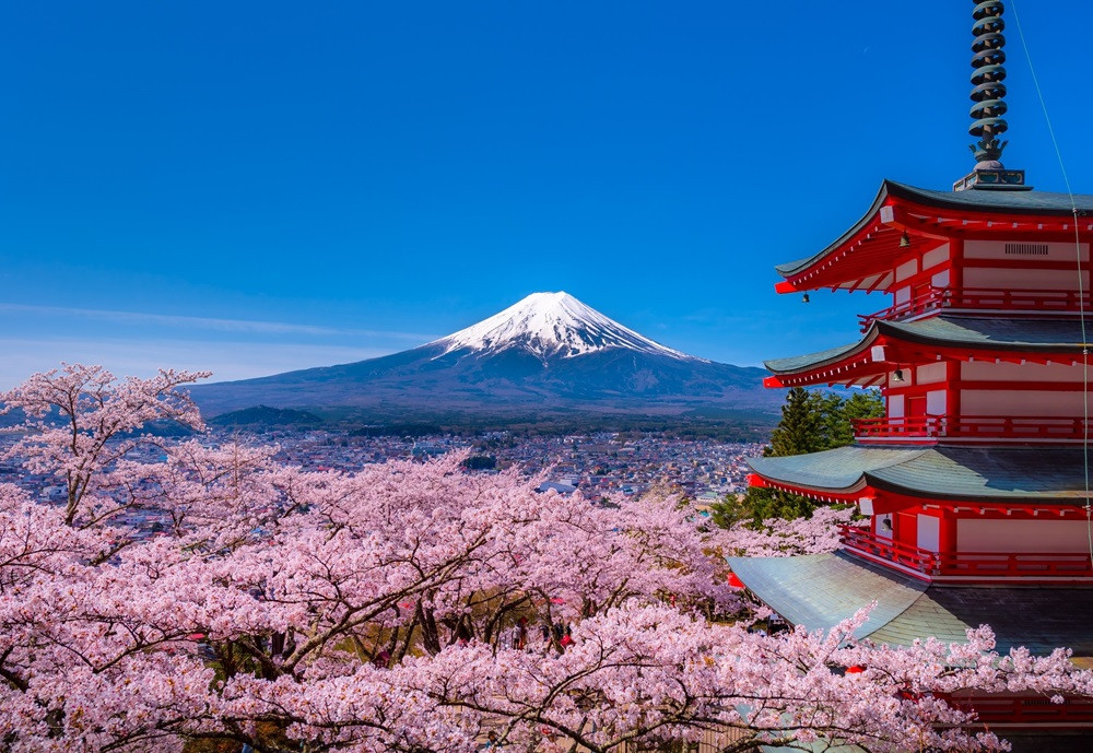 富士山の麓　忠霊塔からの絶景