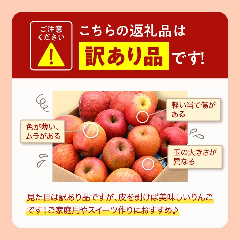 令和6年産 先行予約】※訳あり※ サンふじ満杯詰(約9.5kg) 東根市 山形県 東根農産センター提供 hi027-131 - 山形県東根市｜ふるさとチョイス  - ふるさと納税サイト