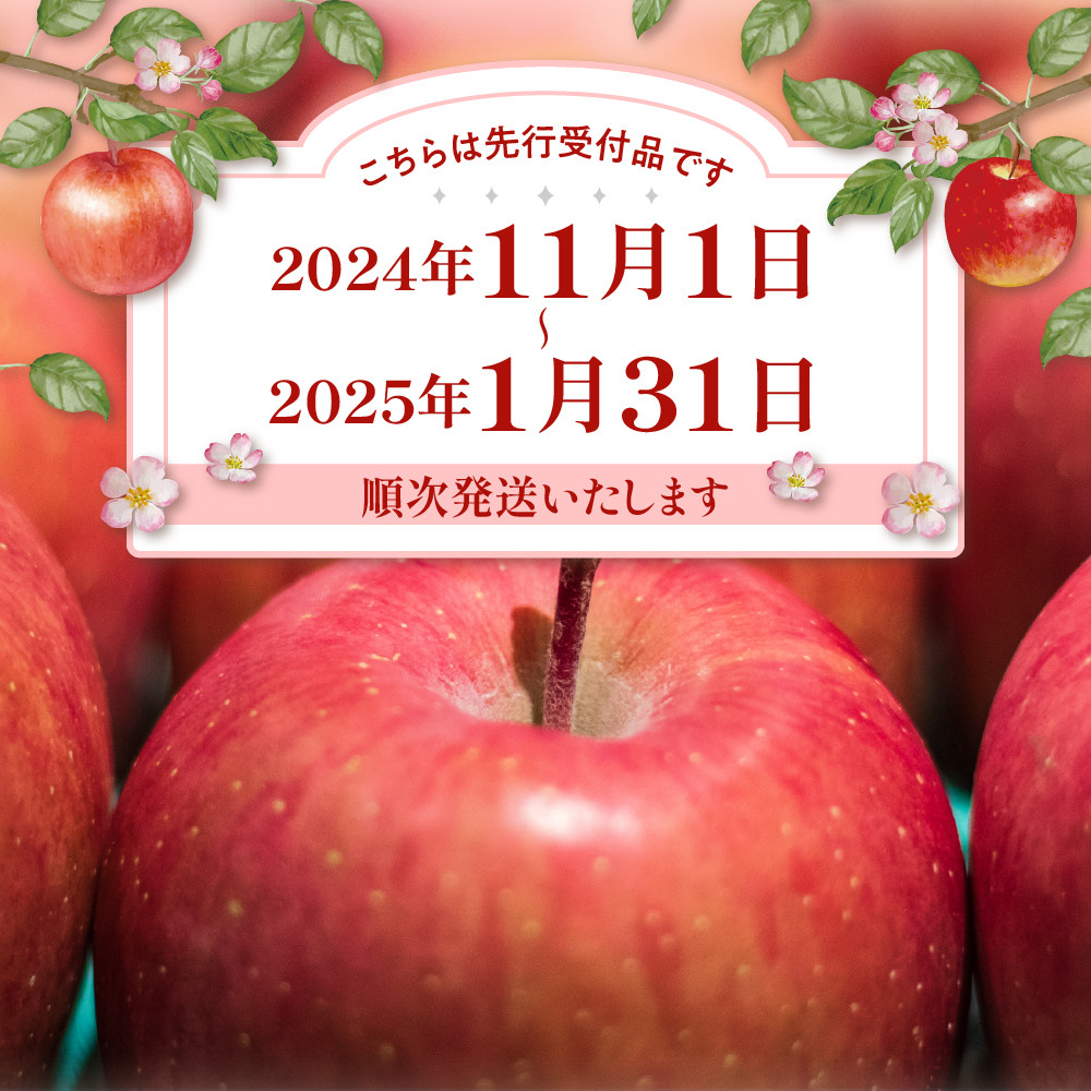 令和6年産 先行予約】※訳あり※ サンふじ満杯詰(約9.5kg) 東根市 山形県 東根農産センター提供 hi027-131 - 山形県東根市｜ふるさとチョイス  - ふるさと納税サイト