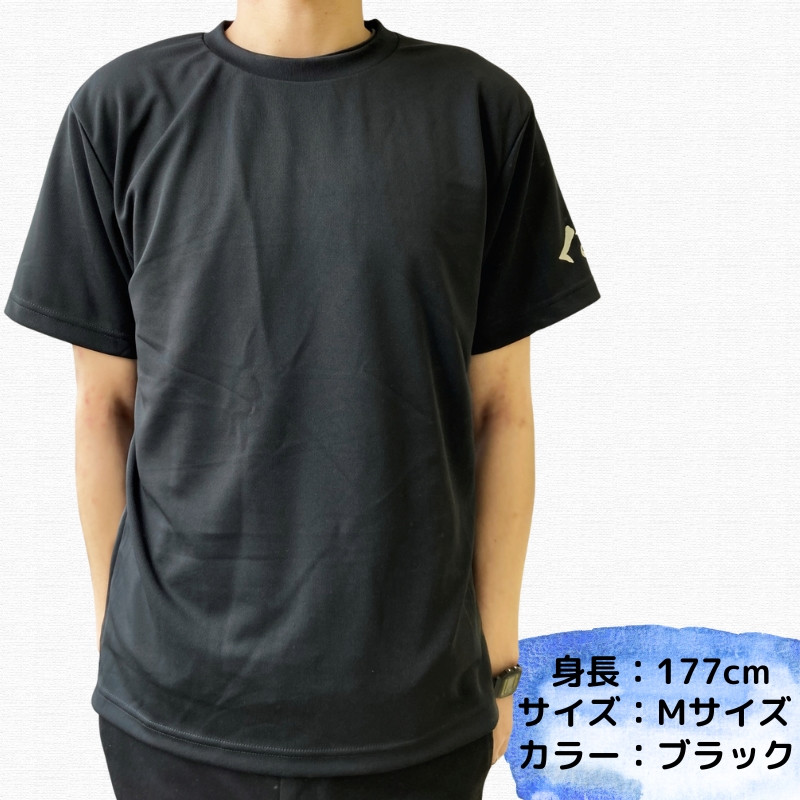 八咫烏Tシャツ 2着セット / 和歌山 田辺市 本宮 熊野本宮大社 八咫烏 やたがらす 服 ティーシャツ 日用品 雑貨【ptl007】 -  和歌山県田辺市｜ふるさとチョイス - ふるさと納税サイト