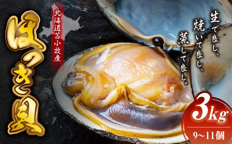 北海道苫小牧産 ほっき貝 3kg（9～11個） T032-001 - 北海道苫小牧市｜ふるさとチョイス - ふるさと納税サイト