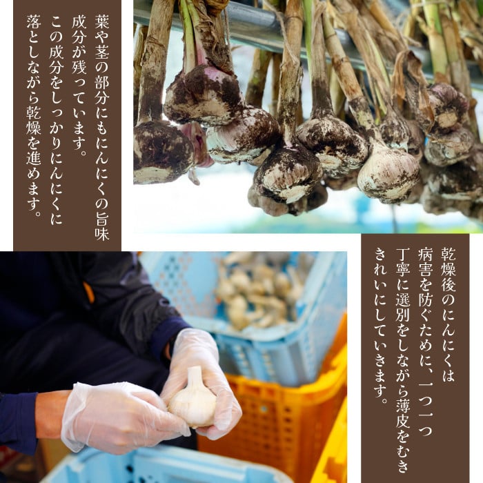 オーガニックにんにく 八幡平バイオレット 1kg ／ ニンニク 大蒜 野菜 産地直送 すばるファーム - 岩手県八幡平市｜ふるさとチョイス -  ふるさと納税サイト