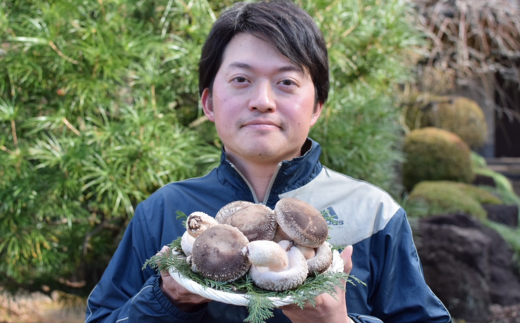 肉厚!原木しいたけちゃん 1kg＜離島・沖縄配送不可＞【 しいたけ 椎茸 原木 きのこ 肉厚 香り 野菜 国産 大容量 農薬不使用 化学肥料不使用  最高品質 農園 人気 おすすめ 茨城県 つくば市 】 - 茨城県つくば市｜ふるさとチョイス - ふるさと納税サイト