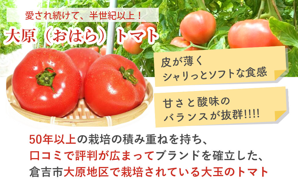 大原トマト【倉吉産】 トマト 甘い 人気 4kg とまと 野菜 サラダ 鳥取県 倉吉市