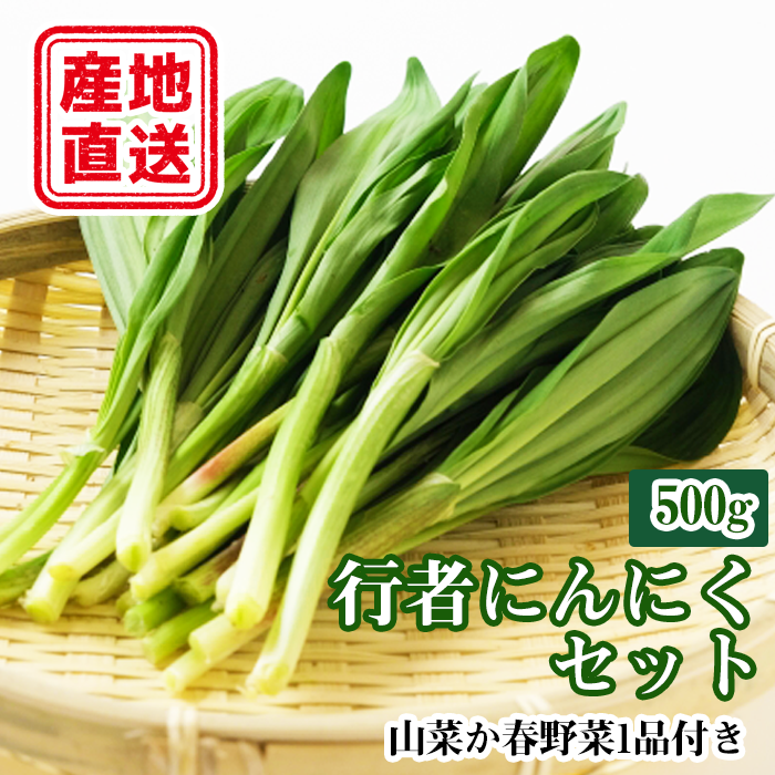 令和６年度産》行者にんにくセット（行者にんにく500g＋山菜 春野菜どちらか１品）【滝沢産業開発株式会社】 - 岩手県滝沢市｜ふるさとチョイス -  ふるさと納税サイト