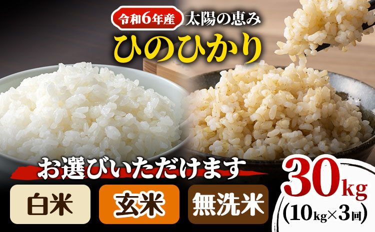 O-06_30k 【令和6年産 予約受付】 岡山県産 ひのひかり 笠岡産 10kg×3回（計30kg） 太陽の恵み （白米 無洗米 玄米からお選びいただけます）  - 岡山県笠岡市｜ふるさとチョイス - ふるさと納税サイト