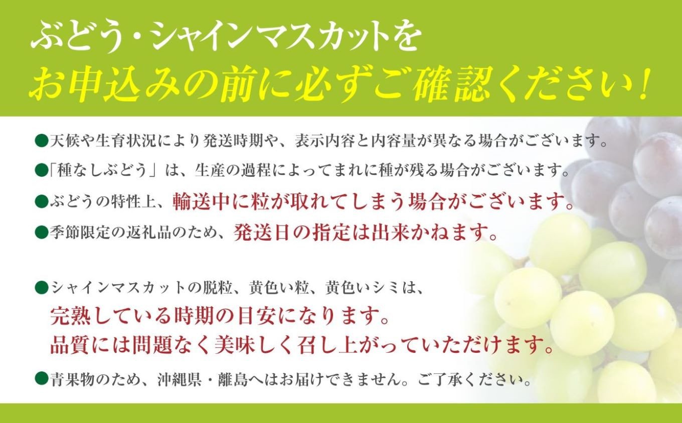 訳あり】シャインマスカット 1.8kg～2kg (3～6房) 【8月下旬以降発送予定】 訳アリ 訳あり品 シャイン マスカット ぶどう ブドウ 葡萄  徳用 家庭用 ご家庭用 旬 新鮮 約2kg 約1.8kg 約1.9kg くだもの 果物 フルーツ 山梨 やまなし 富士川町 -  山梨県富士川町｜ふるさと ...