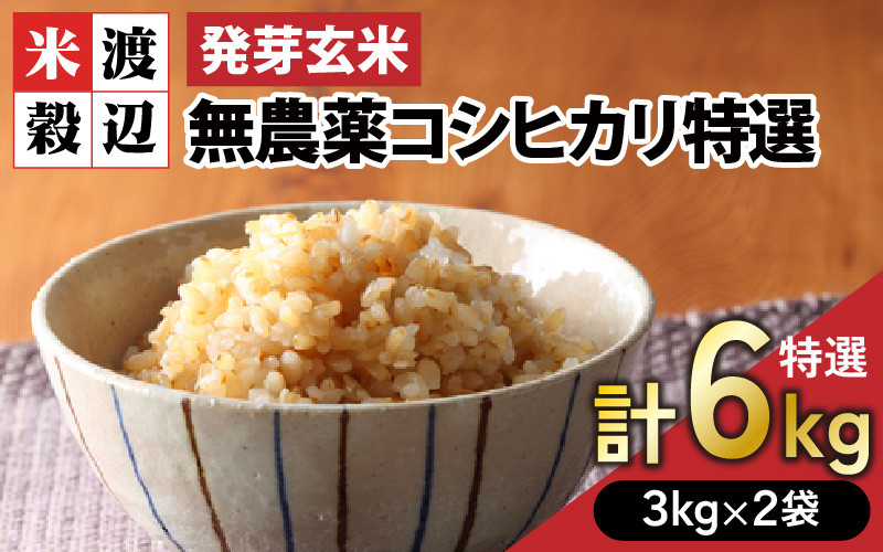 発芽玄米 無農薬コシヒカリ「特選」特別栽培米使用 3kg×2袋（計6kg