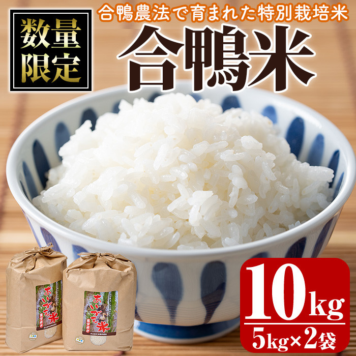 令和5年産＞＜数量限定＞合鴨米(5kg×2袋)【MU027】【日之影町村おこし