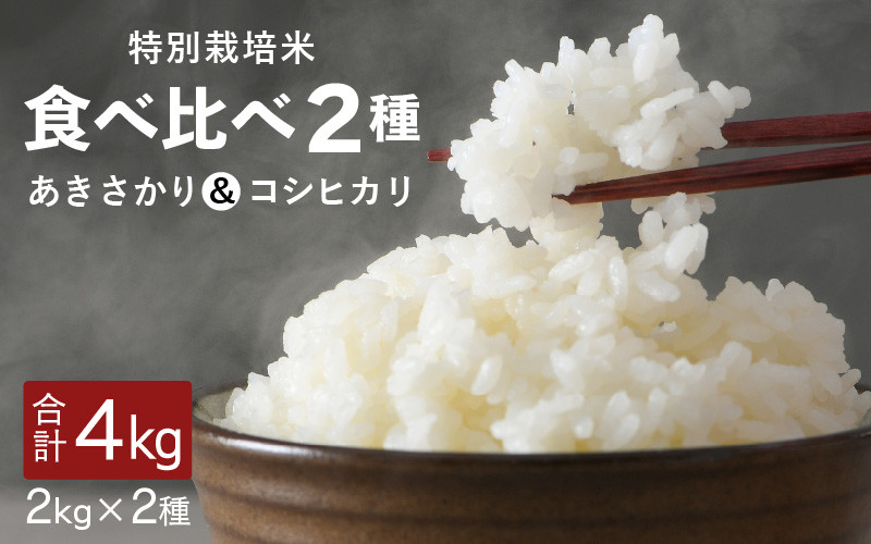 先行予約】【令和7年産・新米】福井県坂井町産 特別栽培米2種食べ比べセット あきさかり・コシヒカリ各2kg（計4kg）【2025年 9月下旬以降順次発送予定】【お米 こめ コメ 米 食べ比べ こしひかり おいしい ごはん ご飯 ブランド米 ふるさと納税米 産地直送】 [A-4838  ...