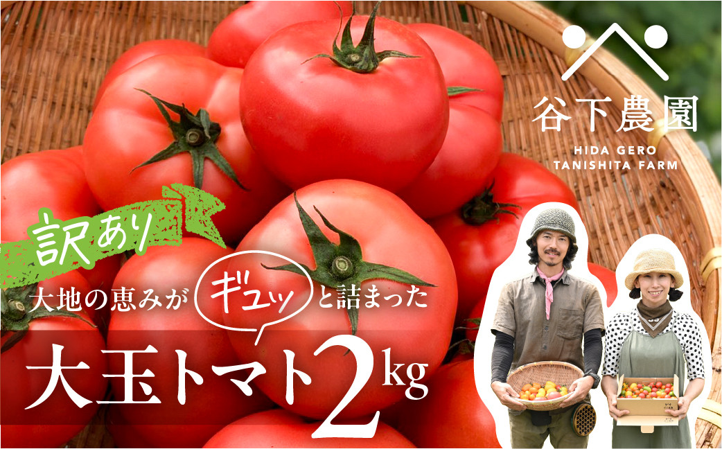 2024年分 先行受付】訳アリ 約 2kg 大地の恵みがぎゅーっと詰まった果肉が厚い大玉トマト 麗月 レイゲツ れいげつ とまと 訳あり 2キロ トマト  野菜 大玉 岐阜県下呂市｜ふるさとチョイス ふるさと納税サイト