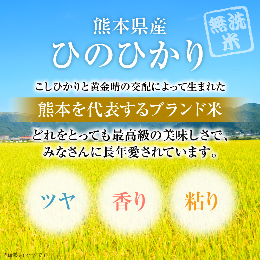 令和6年産】 ≪新米≫ 【無洗米】 熊本ひのひかり10kg （5kg×2袋） - 熊本県八代市｜ふるさとチョイス - ふるさと納税サイト