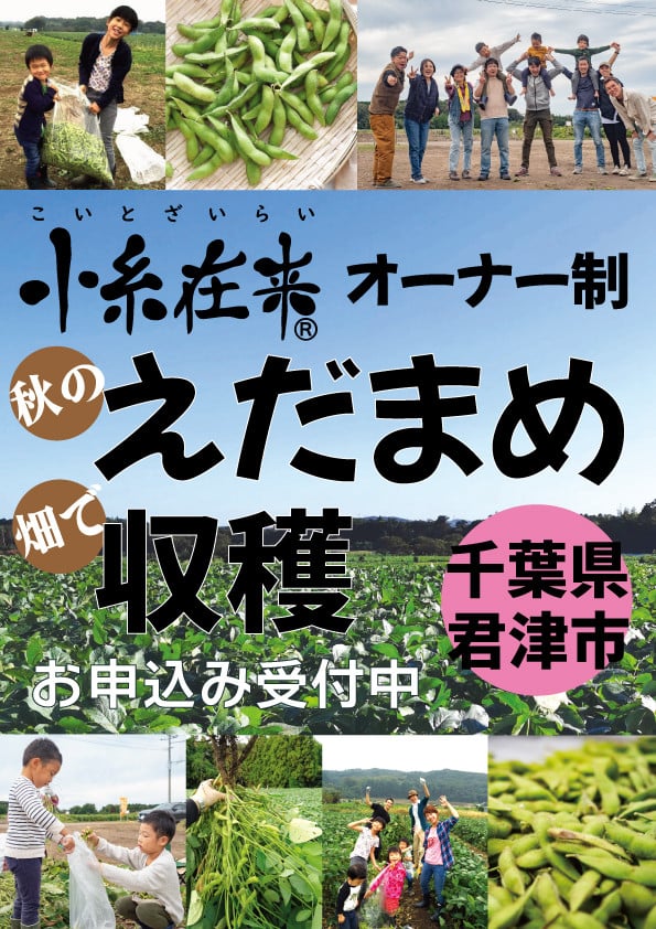 幻の大豆「小糸在来(R)」枝豆・大豆のオーナー権 | 野菜 やさい 豆 まめ 大豆 枝豆 オーナー 権利 収穫 千葉県 君津市 -  千葉県君津市｜ふるさとチョイス - ふるさと納税サイト