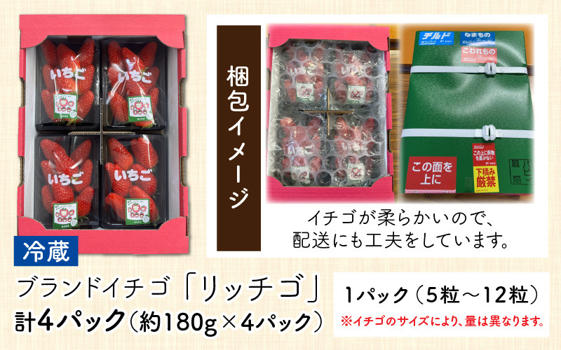 2025年2月第2週目より順次お届け】発送時期が選べる！福井県高浜町産のブランド生いちご【リッチゴ】約720g - 福井県高浜町｜ふるさとチョイス -  ふるさと納税サイト