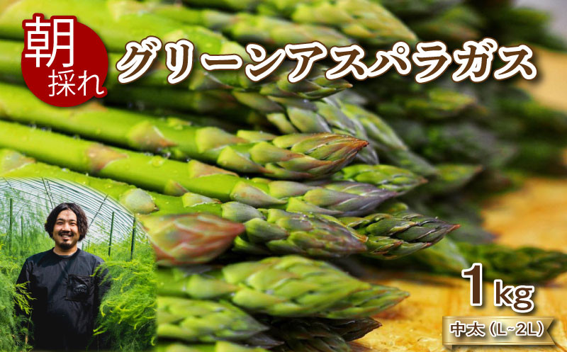 期間限定 】 アスパラガス 1kg 中太 サイズ 朝採れ 大容量 アスパラ 夏芽 L ～ 2L 有機肥料使用 サイズ混合 訳あり セット 野菜 新鮮  下関 山口 - 山口県下関市｜ふるさとチョイス - ふるさと納税サイト