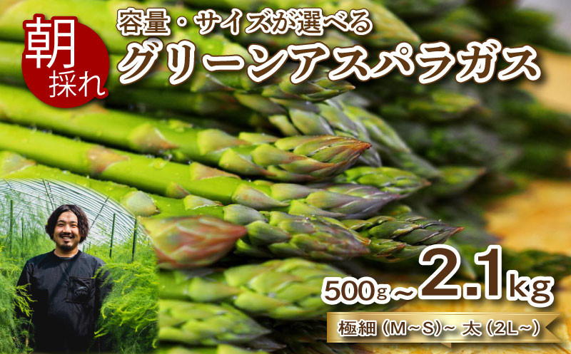 期間限定 】 アスパラガス 500g~2.1kg 朝採れ 大容量 アスパラ 夏芽 S~2L 有機肥料使用 サイズ混合 訳あり セット 野菜 新鮮 夕飯  おかず お弁当 新鮮アスパラ 選べる 容量 サイズ 秀吉農園 菊川町 下関 山口 - 山口県下関市｜ふるさとチョイス - ふるさと納税サイト