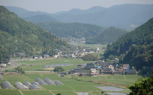 自然豊かな京丹波町