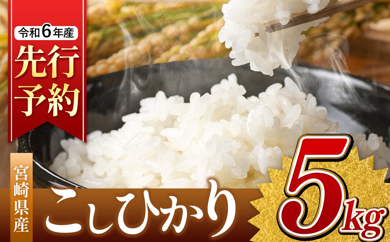 令和6年産 新米 こしひかり 5kg （白米） 宮崎県産 | 米 こめ お米 おこめ 精米 白米 コシヒカリ 宮崎県 五ヶ瀬町 - 宮崎県五ヶ瀬町｜ふるさとチョイス  - ふるさと納税サイト