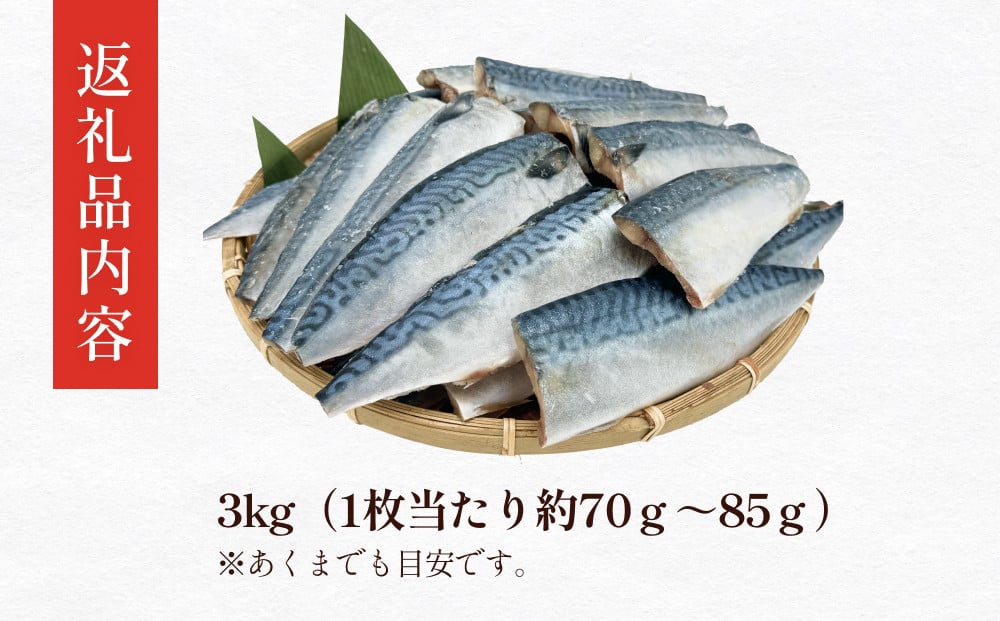 さば 〈 訳あり 〉 国産 塩さば フィーレ 3kg 冷凍 さば 切身 フィレ 鯖 わけあり 不揃い 急速冷凍 新鮮 魚 青魚 鯖フィレ サバフィーレ  塩鯖 さば 切り身 焼き魚 焼魚 おかず 宮城県 石巻市 - 宮城県石巻市｜ふるさとチョイス -