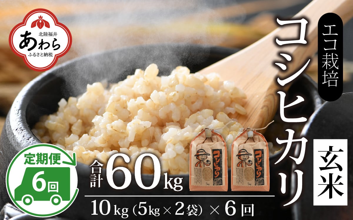 先行予約】【令和6年産】《定期便6回》エコ栽培コシヒカリ 玄米10kg（5kg×2袋）計60kg ／ 鮮度抜群 福井県産 こしひかり ご飯 新鮮 玄米  新米 ※2024年10月上旬より準備出来次第発送 - 福井県あわら市｜ふるさとチョイス - ふるさと納税サイト