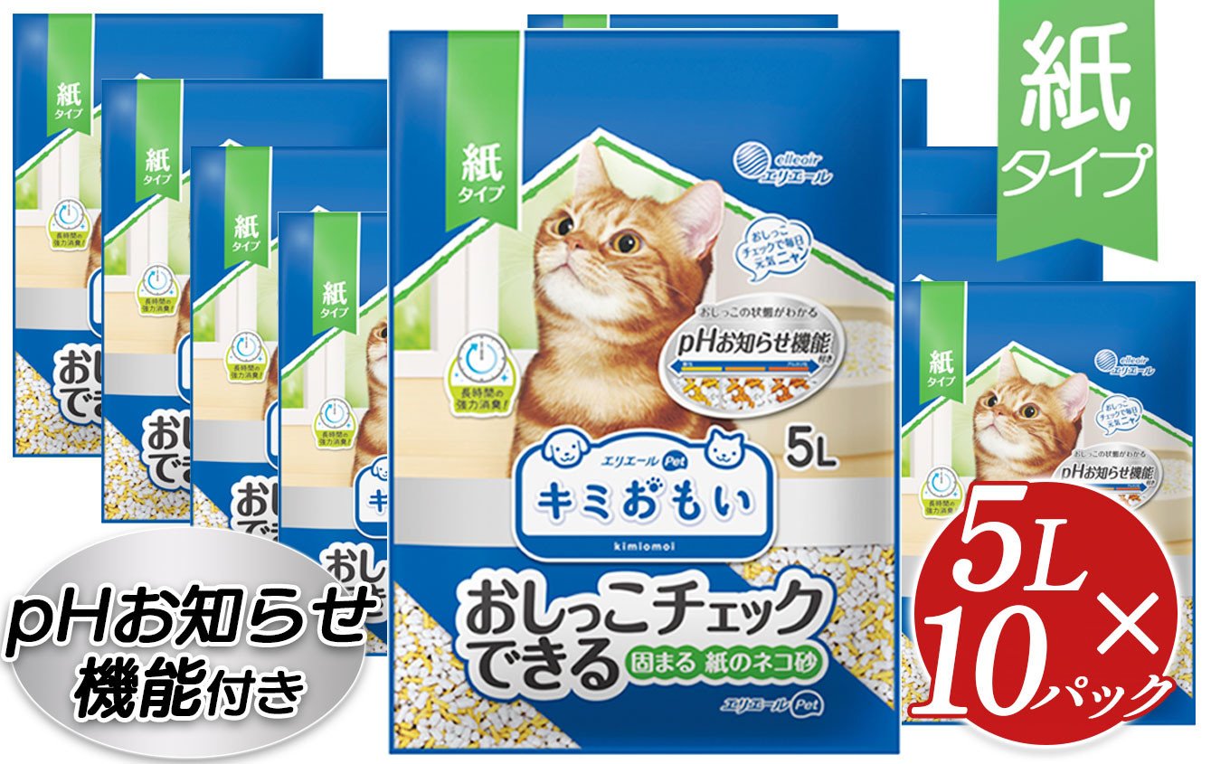 キミおもい ﾊﾟﾜﾌﾙ消臭 抗菌 ｼｽﾃﾑﾄｲﾚ用猫砂 小粒 4L ふるさと納税 ペット用品 ネコ 動物 おすすめ 国産 トイレ用品 おすすめ 消臭  飛び散り 防止 安心 安全 人気 キャット ペット 猫 猫砂 ねこ ねこすな ねこ砂 ネコ砂 ネコスナt トイレ システム トイレ