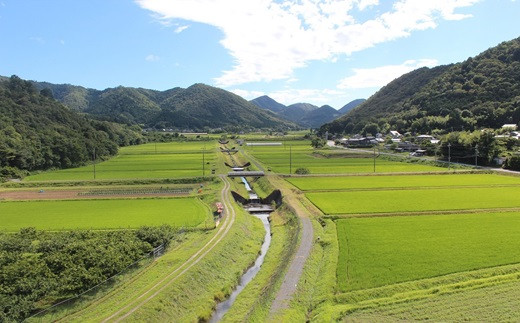 緑豊かな京丹波町。