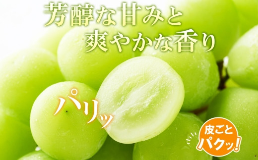 品質のよいブドウを選りすぐってお届けします。