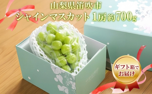 もぎたてをお届け!品質の良いブドウをその日のうちにお届けします。