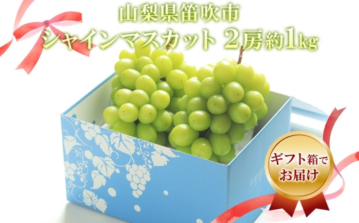 もぎたてをお届け!品質の良いブドウをその日のうちにお届けします。