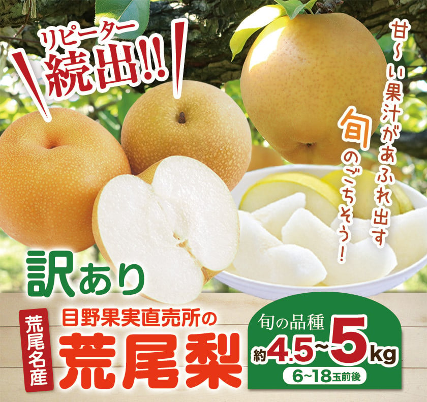 先行予約】 訳あり 梨 荒尾梨 約 4.5kg ～ 5kg (6～18玉前後) 秋 旬 目野果実直売所《8月上旬-9月末頃出荷》熊本県 荒尾市産 なし  フルーツ 果物 新鮮 愛甘水 幸水 秋麗 豊水 あきづき のいずれか 品種の指定不可 ご家庭用 - 熊本県荒尾市｜ふるさとチョイス - ふるさと ...