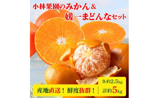 愛媛県 ご家庭用‼️ハウスみかん‼️サイズ小玉 4.5K以上5K未満 柑橘果物 媛一みかん ご家庭用 2Sサイズ 2.5Kg】小玉 小林果園 愛媛県