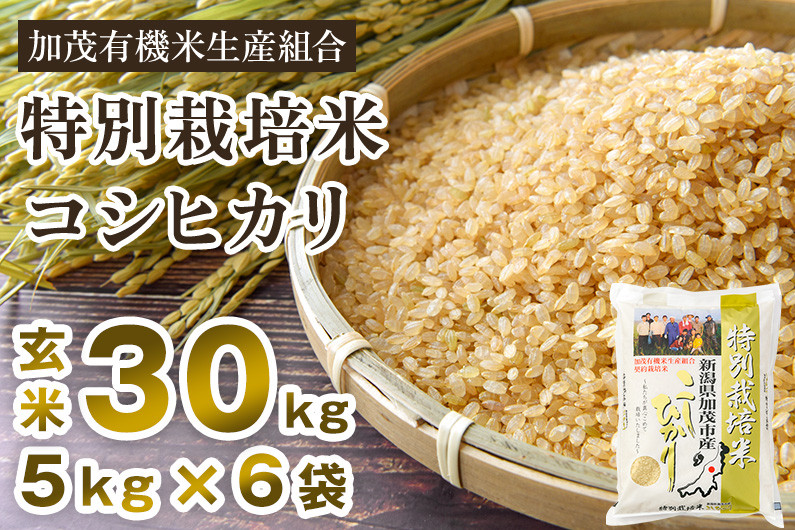 令和6年産新米先行予約】新潟県加茂市産 特別栽培米コシヒカリ 玄米30kg（5kg×6） 従来品種コシヒカリ 加茂有機米生産組合 - 新潟県加茂市｜ふるさとチョイス  - ふるさと納税サイト