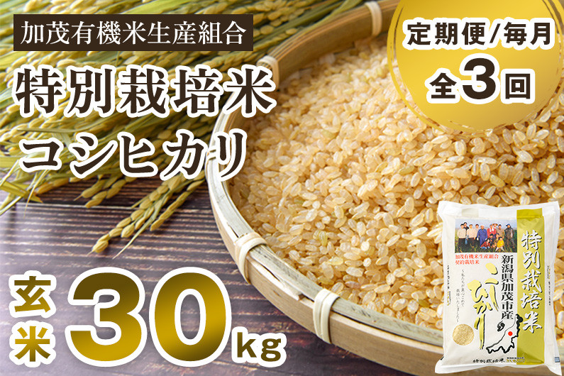 令和6年産新米先行予約】【定期便3回毎月お届け】新潟県加茂市産 特別栽培米コシヒカリ 玄米30kg（5kg×6） 従来品種コシヒカリ 加茂有機米生産組合  - 新潟県加茂市｜ふるさとチョイス - ふるさと納税サイト