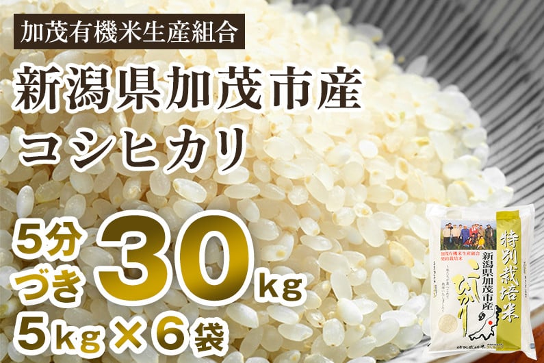 令和6年産新米先行予約】【5分づき】新潟県加茂市産 特別栽培米コシヒカリ 精米 30kg（5kg×6） 従来品種コシヒカリ 加茂有機米生産組合 - 新潟県加茂市｜ふるさとチョイス  - ふるさと納税サイト