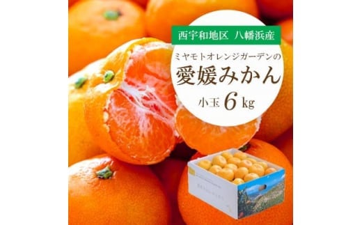 みかん鮫様 みかん様 オーダーページ