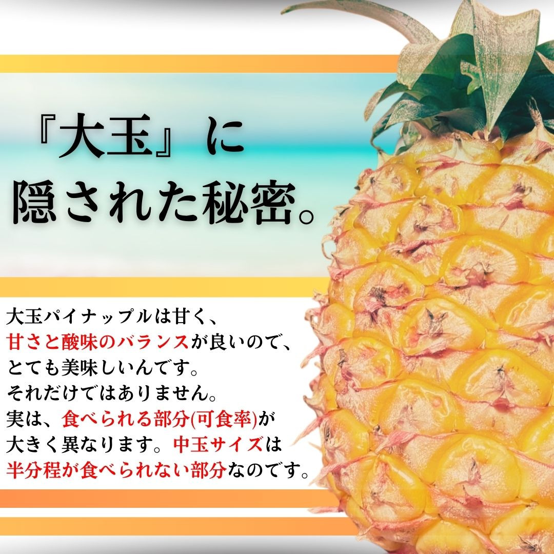 先行予約】《2025年夏季 順次発送》夏実パイン（ハワイ種）大玉6個 計7.8kg【 産地直送 沖縄 石垣 フルーツ パイナップル パイン ハワイ  夏美パイン 】SI-49-1 - 沖縄県石垣市｜ふるさとチョイス - ふるさと納税サイト