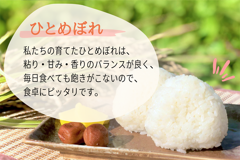 偶数月6回定期便】岩手県産 ひとめぼれ 三右エ門こだわりのお米 2kg×3袋×6回 合計36kg【2024年10月から2026年2月下旬発送予定】／ お米  コメ ご飯 白米 岩手県 二戸市 - 岩手県二戸市｜ふるさとチョイス - ふるさと納税サイト