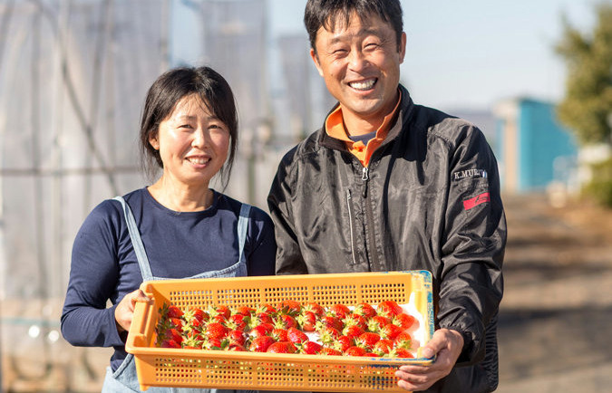 常にベストな状態のイチゴをお届けします！