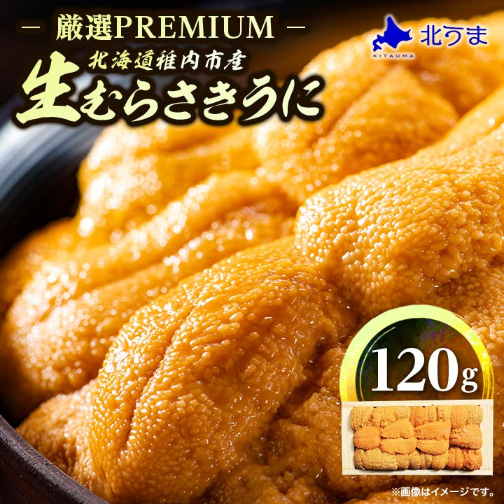 ＜厳選PREMIUM＞美味しいウニは昆布の名産地にあり!生むらさきうに120g【1221080】