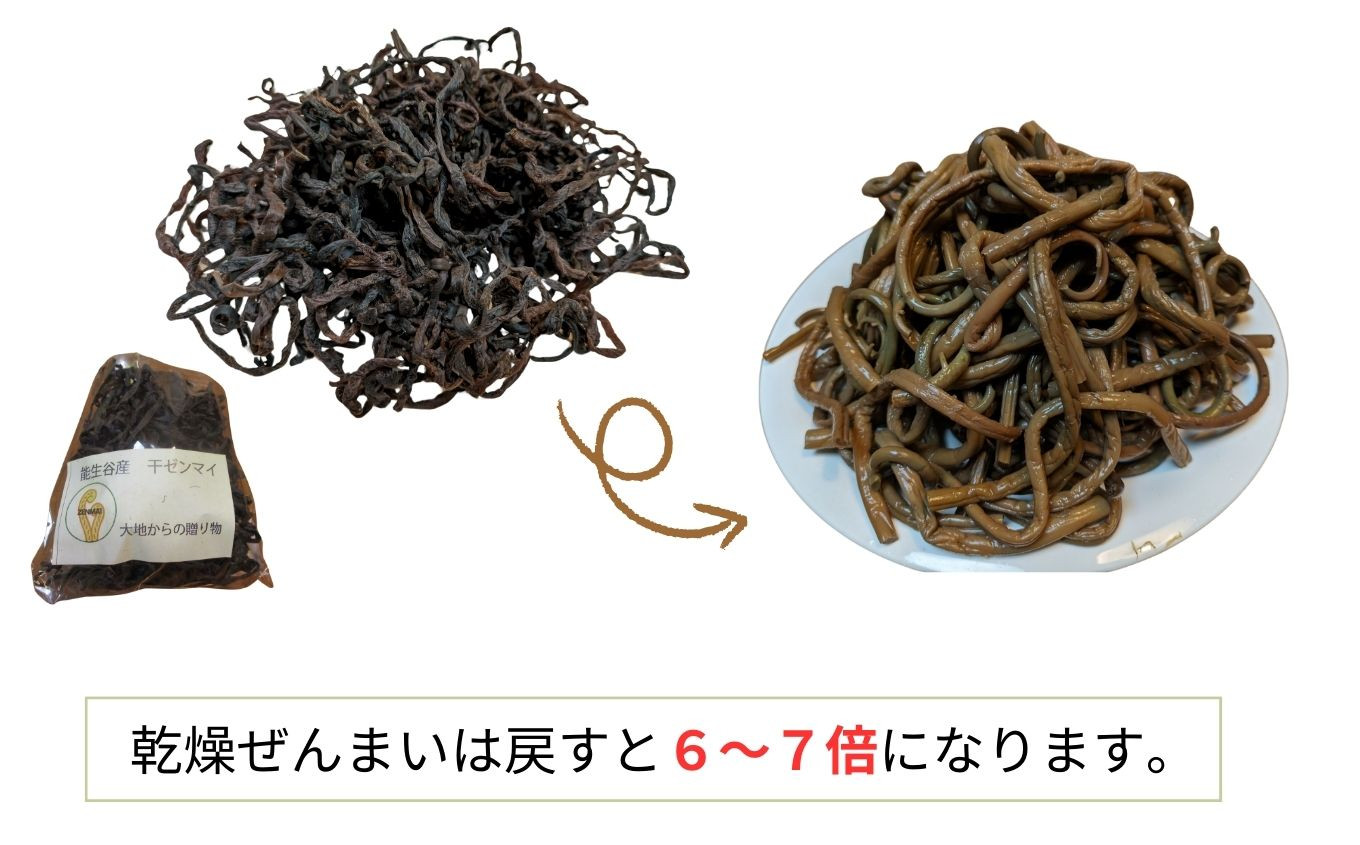 令和6年産 新物 ぜんまい 小500g【乾燥ぜんまい 干しぜんまい 天日干し 手もみ 乾物 新潟県 糸魚川市 山菜 ゼンマイ 能生谷  おおかやば山菜園】 - 新潟県糸魚川市｜ふるさとチョイス - ふるさと納税サイト