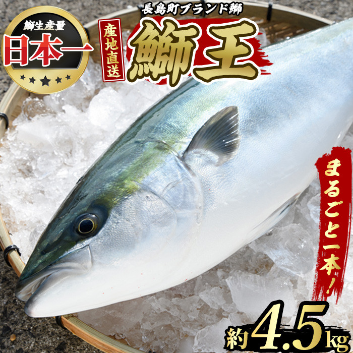 2025年3月発送＞ぶりの王様「 鰤王 」 まるごと 1本 (約4.5kg) 産地直送 新鮮 旨味が抜群の 長島町 特産品 ブランド ぶり 鰤 ブリ  切り身 真空 冷蔵 刺身 ぶりしゃぶ しゃぶしゃぶ 魚 魚介 人気 ランキング 【JFA】jfa-1260-03 - 鹿児島県長島町｜ふるさとチョイス  ...