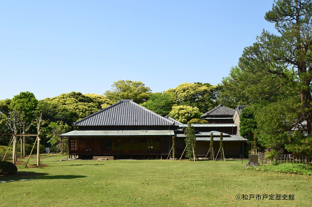 写真