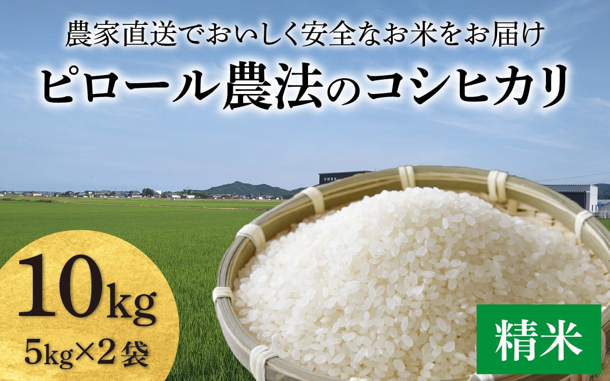 先行予約】【令和6年産】【ピロール米】ピロール農法のコシヒカリ 精米 10kg（5kg×2袋） / 一等米 福井県産 ブランド米 ご飯 白米 お米 コメ  新鮮 小分け 新米 ※2024年9月下旬より順次発送 - 福井県あわら市｜ふるさとチョイス - ふるさと納税サイト