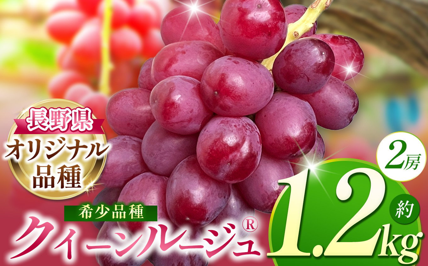 クイーンルージュ 2房 （ 約 1.2kg ） | 果物 くだもの フルーツ 葡萄 ぶどう ブドウ 長野県 塩尻市 - 長野県塩尻市｜ふるさとチョイス  - ふるさと納税サイト