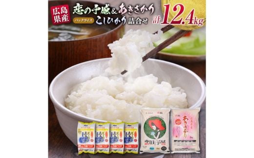 広島県産無洗米「恋の予感」(5kg)あきさかり(5kg）パックご飯（200g×3食×4パック）詰合せセット - 広島県東広島市｜ふるさとチョイス -  ふるさと納税サイト