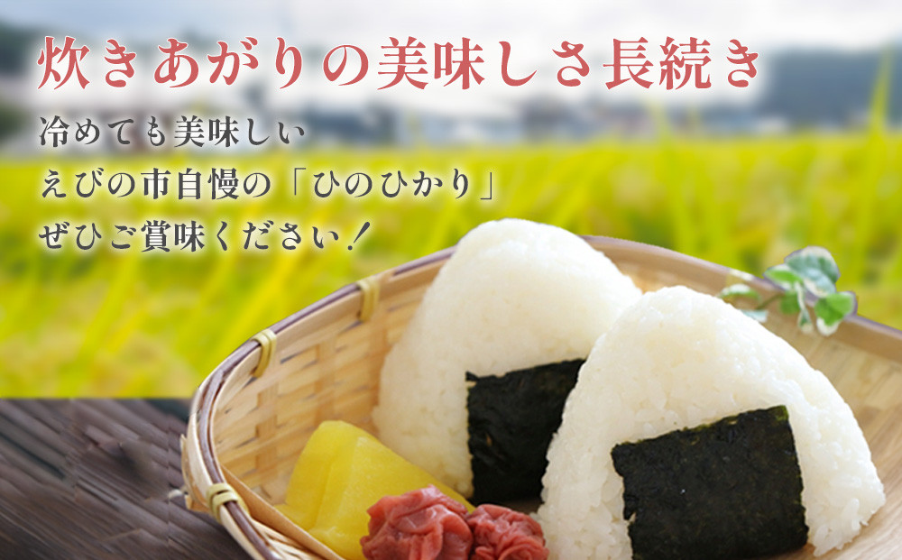 半年定期便】新米 令和6年産 えびの産 ひのひかり 3kg×6ヶ月 合計 18kg 定期便 米 お米 白米 ヒノヒカリ おにぎり お弁当 九州 宮崎県  特選米 冷めても美味しい 送料無料 - 宮崎県えびの市｜ふるさとチョイス - ふるさと納税サイト