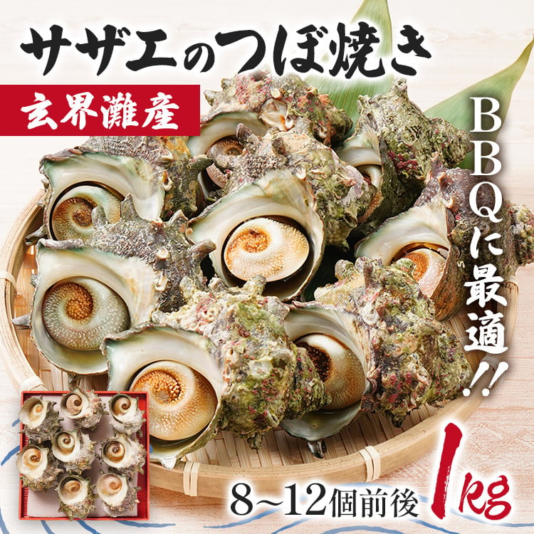 玄界灘産 サザエのつぼ焼き 1kg（約8～12個前後）BBQ 下処理済 ボイル済 下味付 温めるだけ フライパン トースター 海鮮 海の幸 魚介 壺焼き  貝 海産物 冷凍 バーベキュー 殻付き 煮付け サザエご飯 栄螺 - 福岡県志免町｜ふるさとチョイス - ふるさと納税サイト