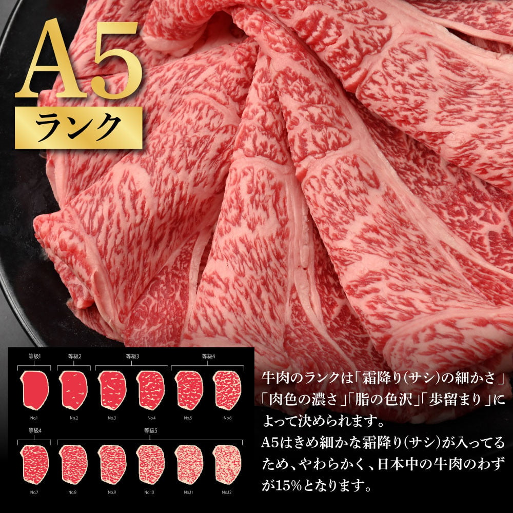 土佐和牛最高級A5特選クラシタロース＆特選ももセット900g 各450gずつ 牛肉 肉 お肉 和牛 国産 牛 クラシタロース モモ肉 A5 最高級 特選  霜降り 国産 豪華 贅沢 美味しい 肉汁 - 高知県芸西村｜ふるさとチョイス - ふるさと納税サイト