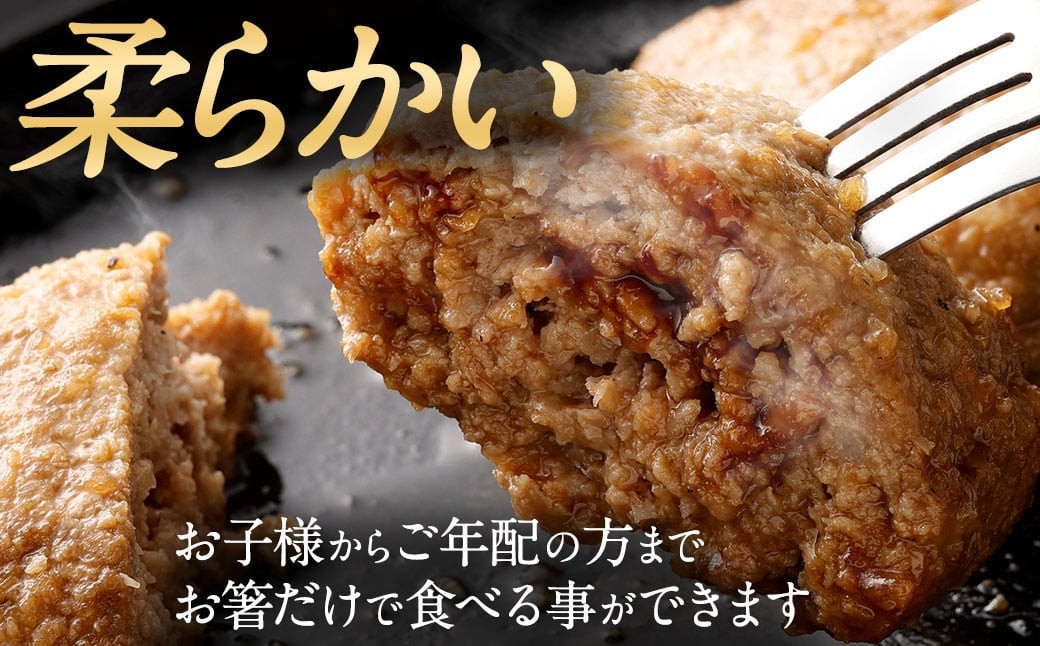 プレミアムハンバーグ くまもとあか牛 ハンバーグ 惣菜 ハンバーグ